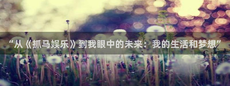辉达娱乐招商