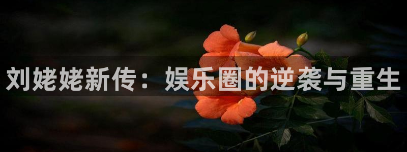 辉达娱乐地址