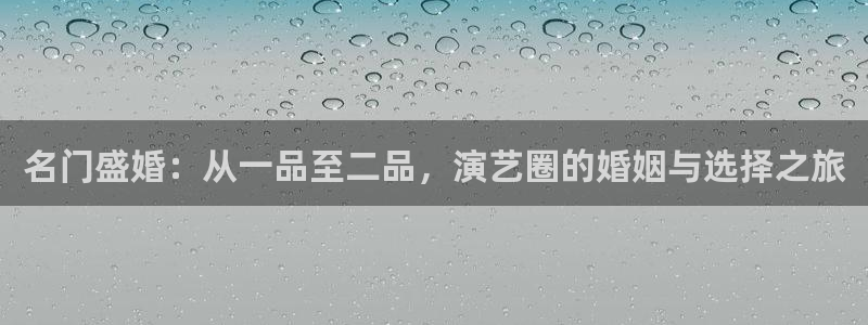 辉达娱乐